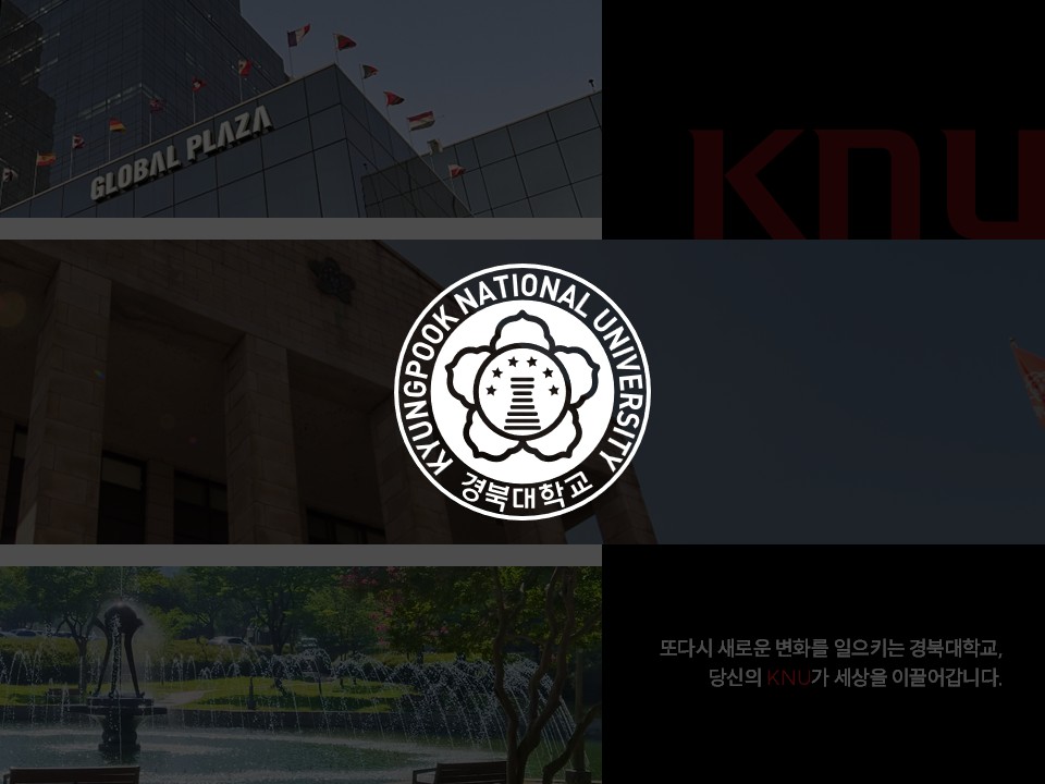 경북대학교